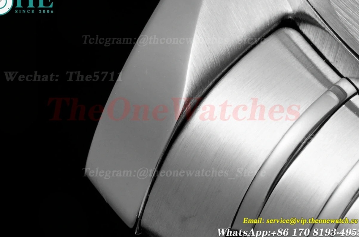 Seamaster Wht A8800 SS SS blue 300m 42mm JVSF 0112